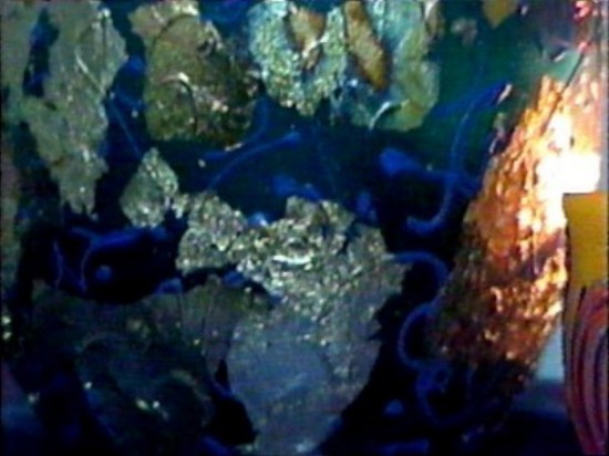 ../Images/Fort de la poesie-detail 1.jpg